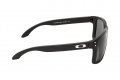 Brýle Oakley Holbrook XL Prizm  OO9417-2259 | SPORT-brýle.cz