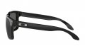 Brýle Oakley Holbrook Prizm OO9102-E155 | SPORT-brýle.cz