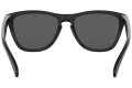 Brýle Oakley Frogskins Prizm OO9013-C455   | SPORT-brýle.cz