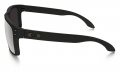 Brýle Oakley Holbrook Prizm Polarizační OO9102-D655 | SPORT-brýle.cz