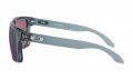 Brýle Oakley Holbrook XL Prizm OO9417-14  | SPORT-brýle.cz